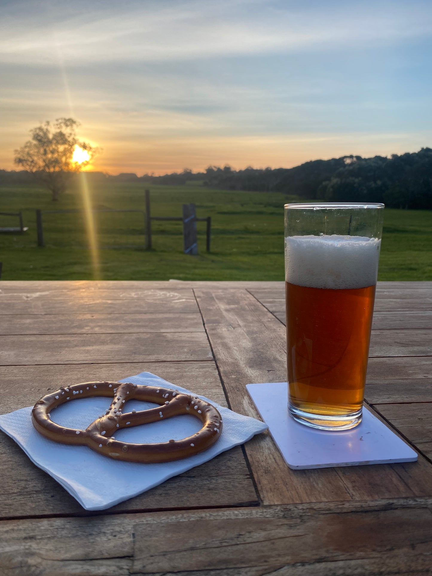 Copper Ale