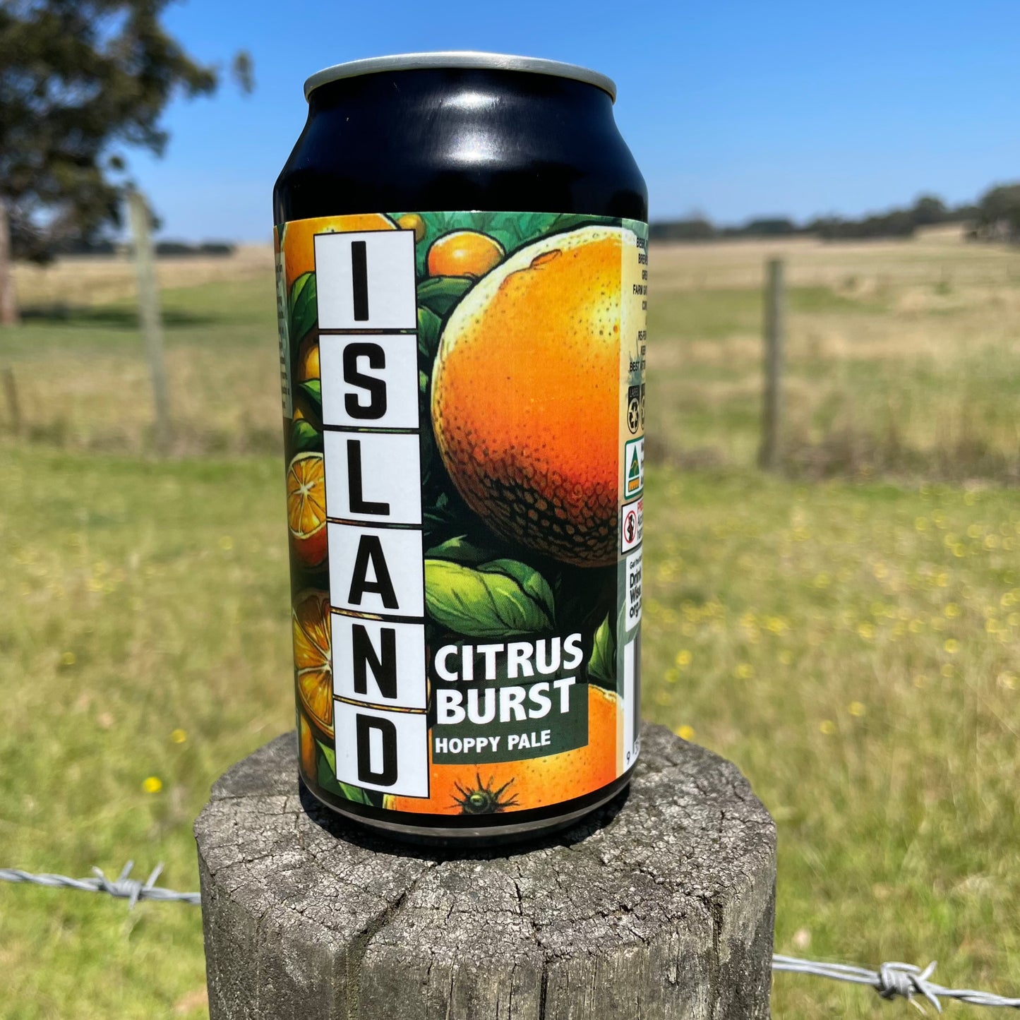 Citrus Blast Pale Ale