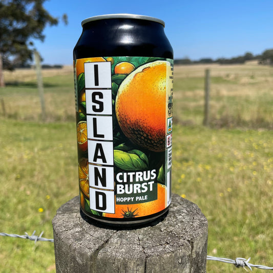 Citrus Blast Pale Ale